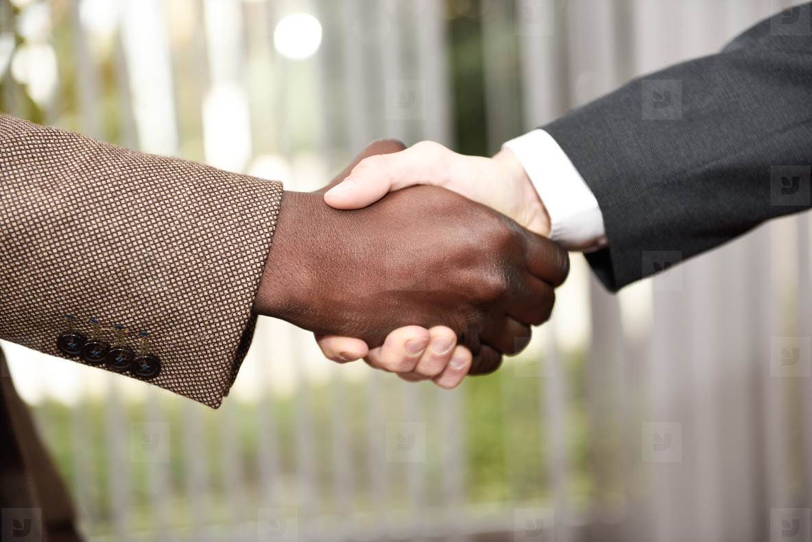 Businessman Shaking Hands with Client